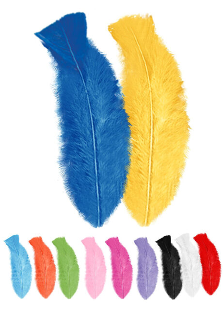 plumes de décoration, plumes pour masques, plumes de déguisements, plumes, sachet de plumes, plumes d'oiseau, plumes multicolores, Plumes Multicolores