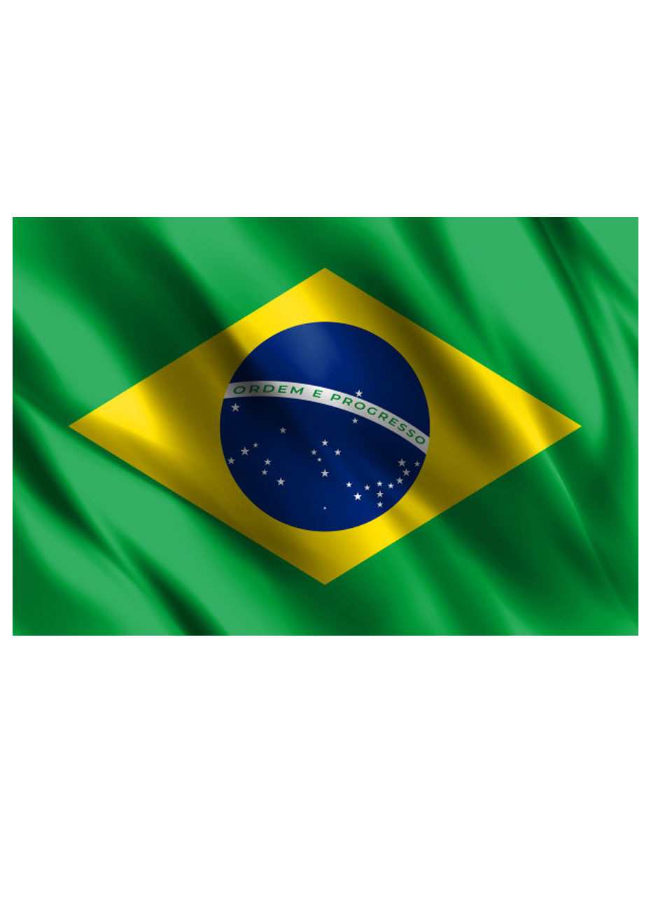Drapeau Brésil 150cm - Partywinkel