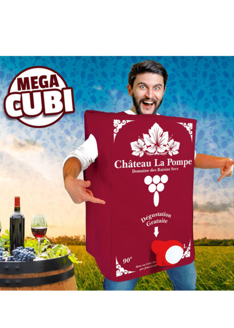 déguisement cubis de vin, déguisement bouteille, déguisement humour, déguisement carnaval, Déguisement Cubi de Vin