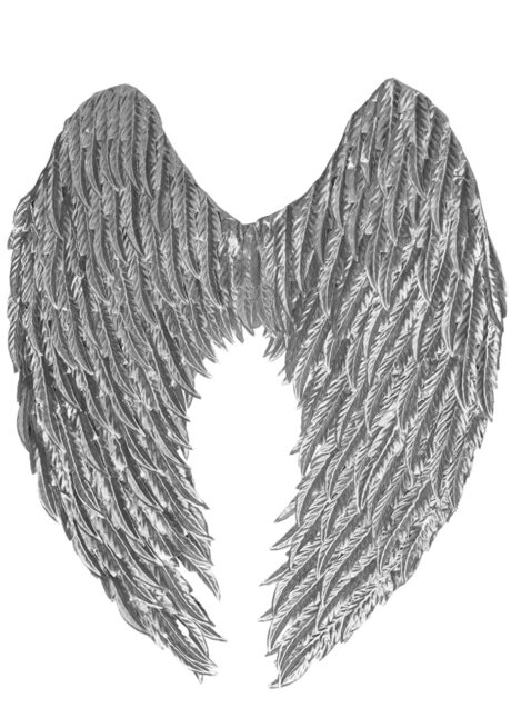 ailes d'ange argent, ailes en plumes argent, ailes d'ange argent, Ailes d’Ange Plumes Argent